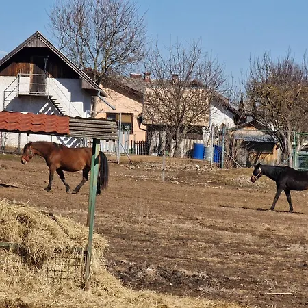 Lfci - * Hrabusice